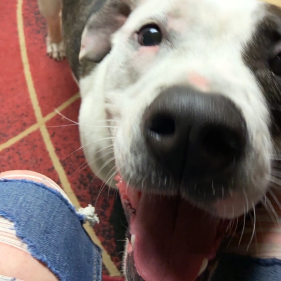 Meet your Posher, Brittney - Picture 14 of 16